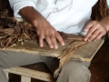 2013-10_CubaActive_A_ (22)